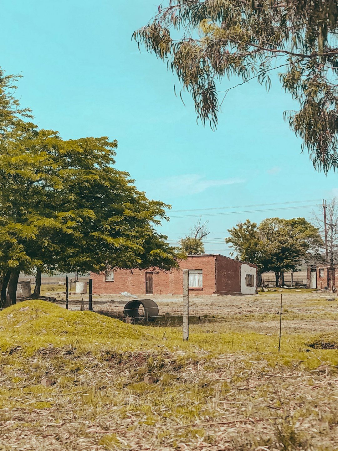Ziegelgebäude stehen auf einer grünen Wiese unter blauem Himmel.